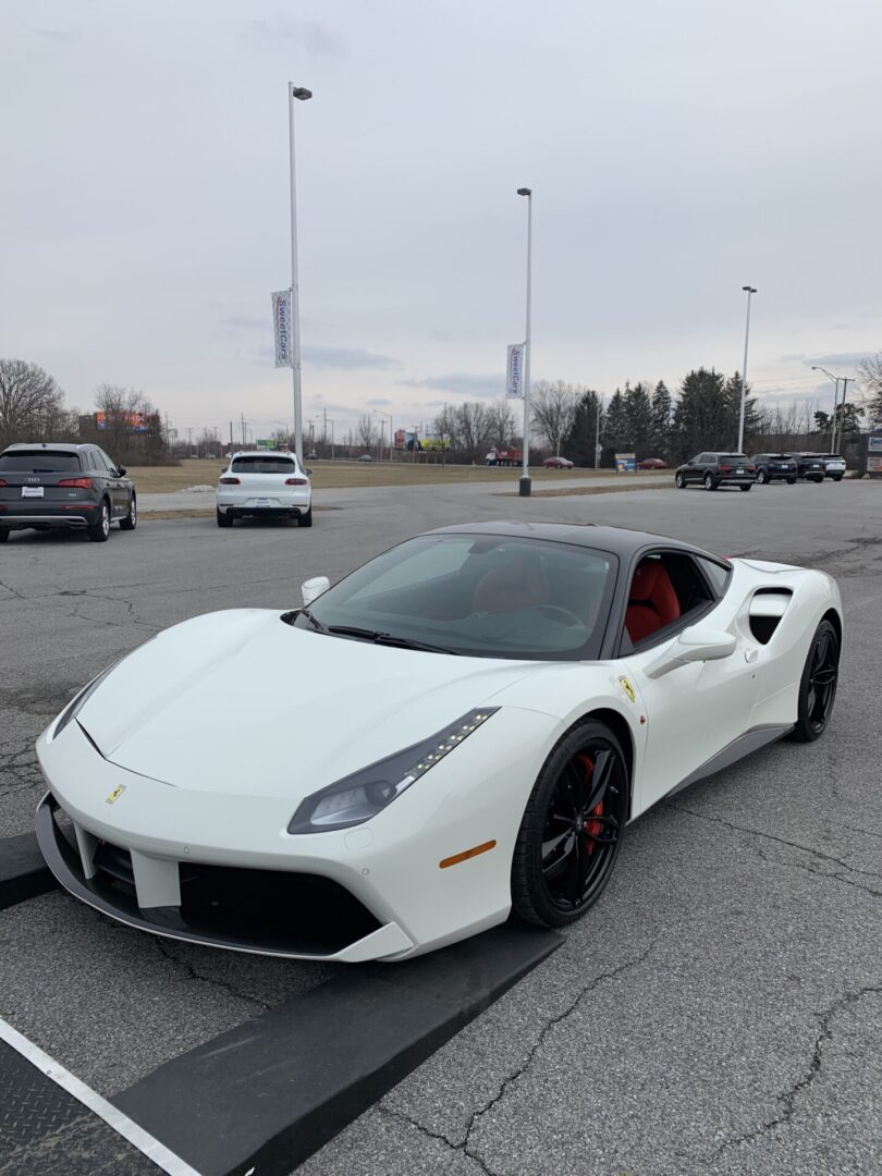 Browse Through Our Gallery - Peluzzo Exotic Transport LLC